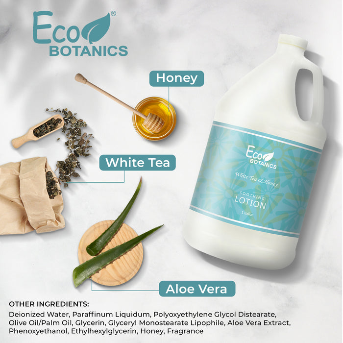 Eco Botanics Hotel Lotion | 1 Gallon | Designed to Refill Soap Dispensers | by Terra Pure (Single)