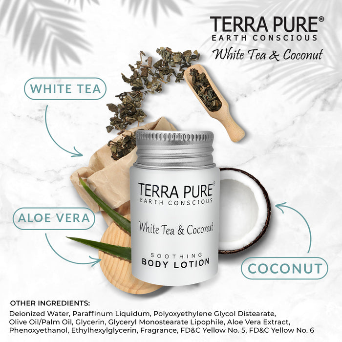 Terra Pure White Tea & Coconut Lotion, Travel Size Hotel Amenities, 1 oz. (Case of 300)