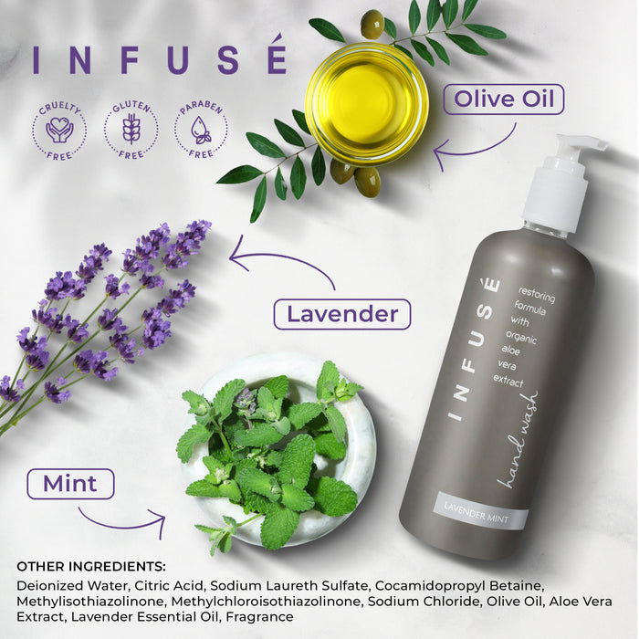 Terra Pure Infuse Lavender Mint Hand Wash | 400 ml SINGLE